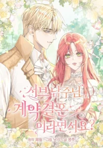 Sub-Male Lead, You Said It Was A Contract Marriage?