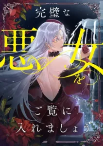 Behold The Perfect Villainess