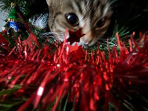 2025-12-31-04-21-24-1767198084627