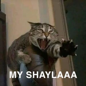 2026-01-20-01-05-05-1768871105779