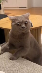 2026-01-20-01-34-00-1768872840568