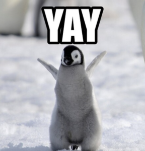 2026-02-08-11-29-49-1770550189292.29-PM