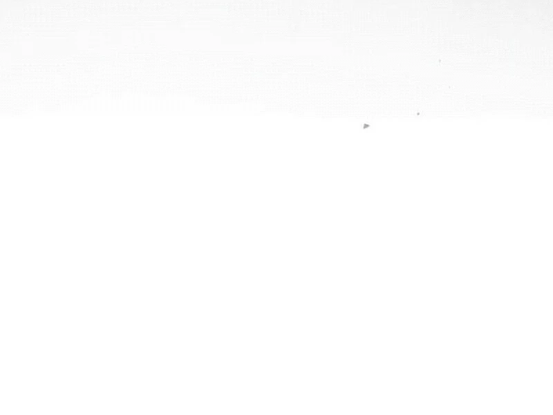 A Beast Swallowed by a Flower Chapter 91 380 79