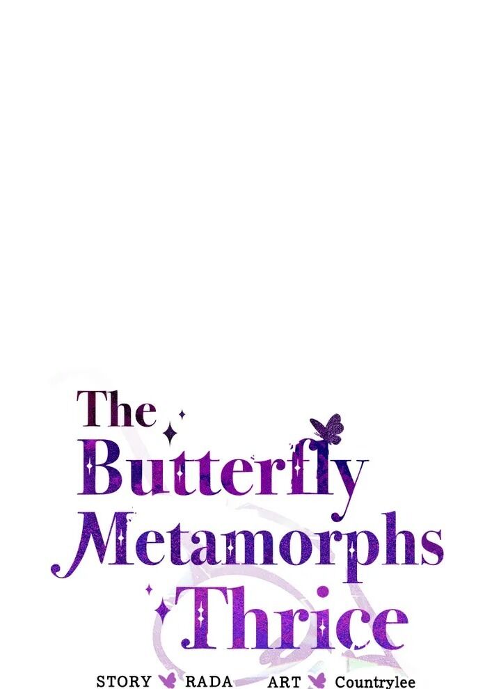 A Butterfly Metamorphoses Three Times Chapter 25 431 33
