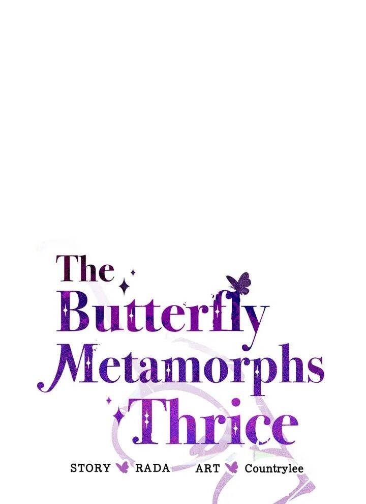 A Butterfly Metamorphoses Three Times Chapter 26 417 13