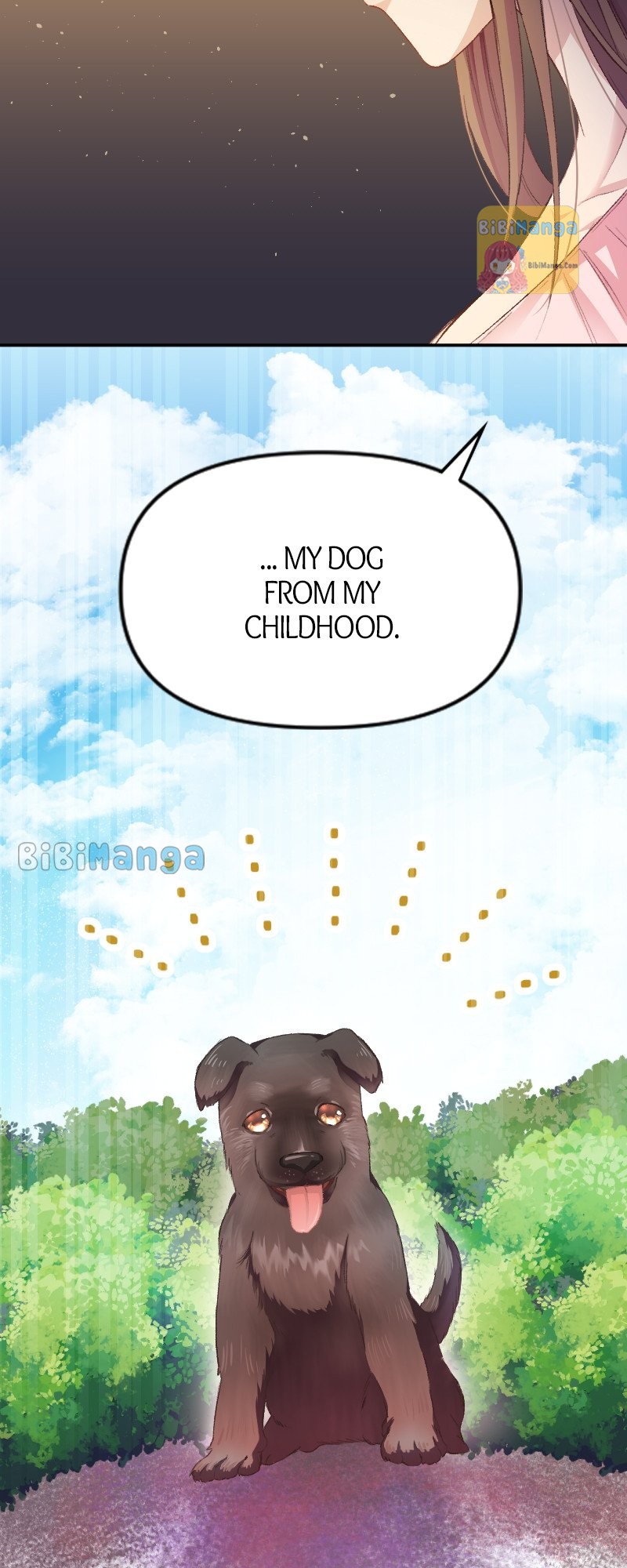 A Deceiving Bride and The Fierce Lion Chapter 14 212 37