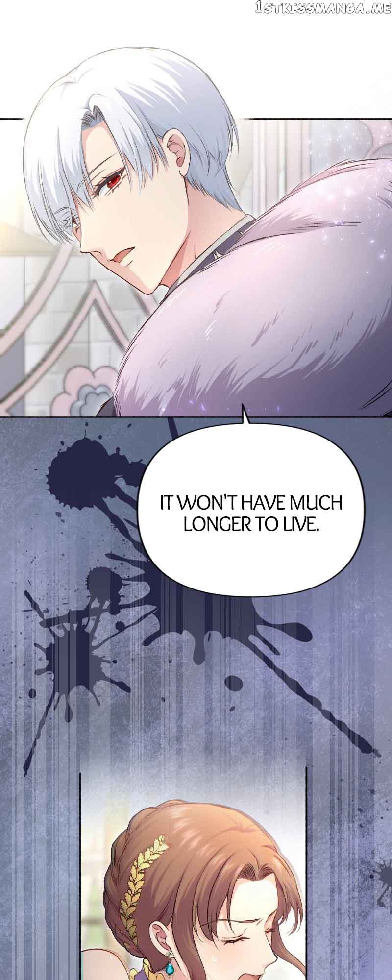 A Deceiving Bride and The Fierce Lion Chapter 19 174 17