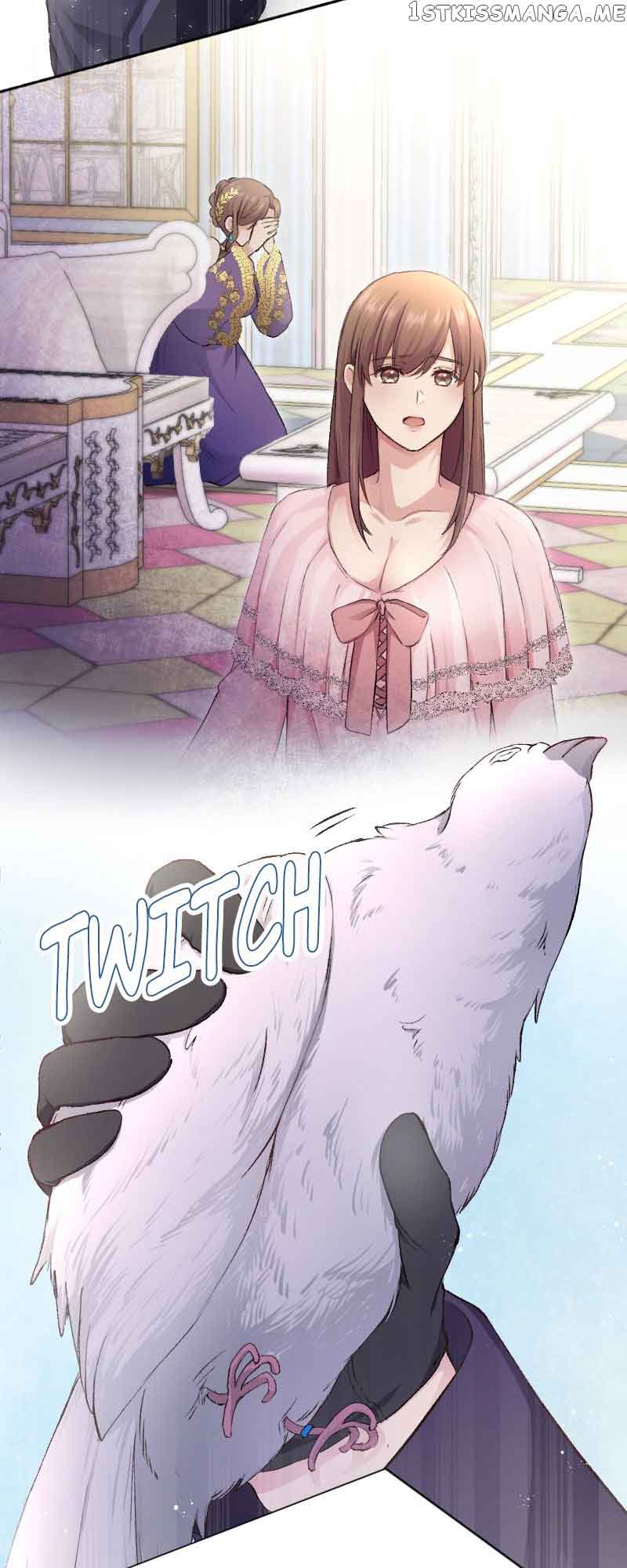 A Deceiving Bride and The Fierce Lion Chapter 19 176 19