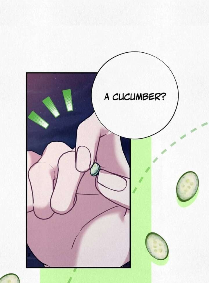 A Guest Beneath the Monsoon Skies Chapter 13 497 100