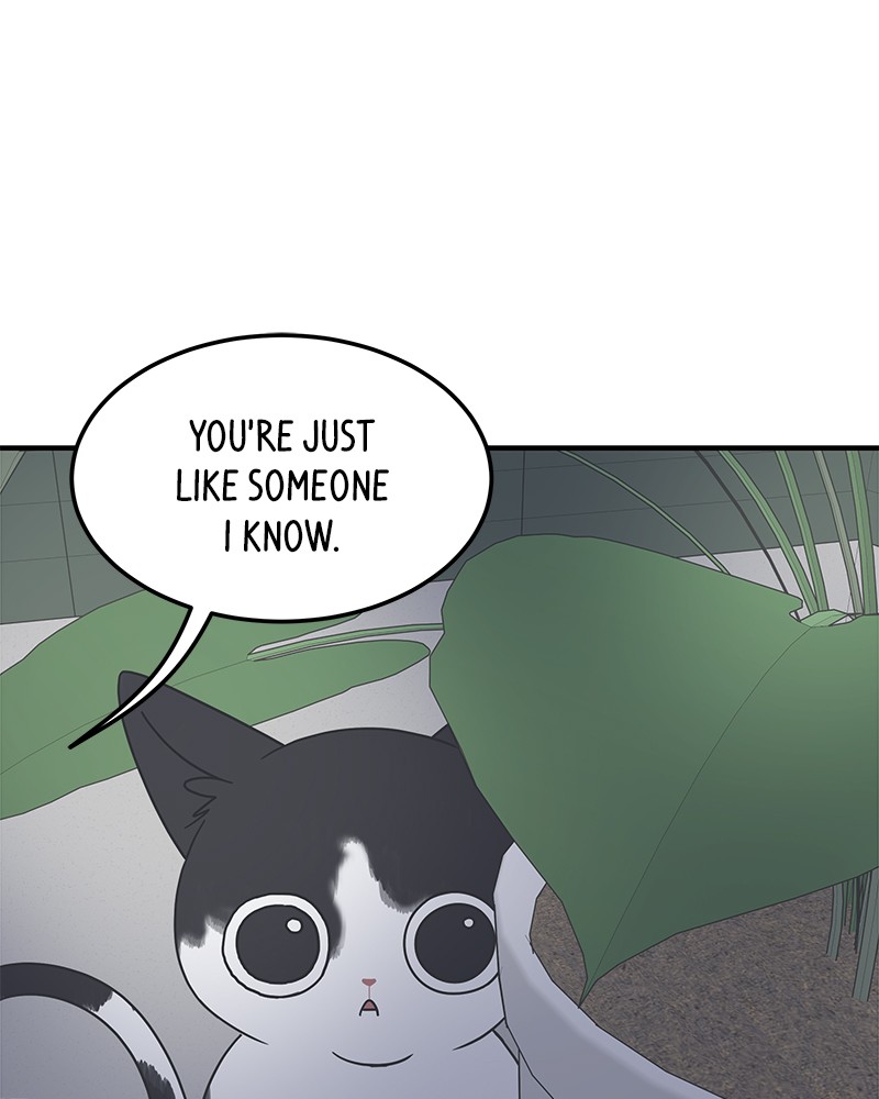 A Guide to Proper Dating Chapter 54 377 031