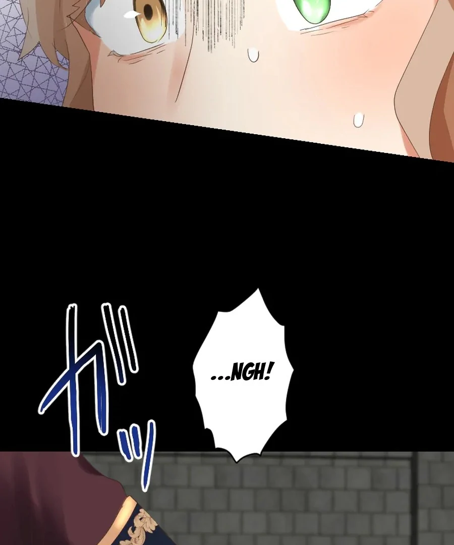 A Lonely Princess Falls In Love With A Misanthropic Emperor Chapter 6 636 107