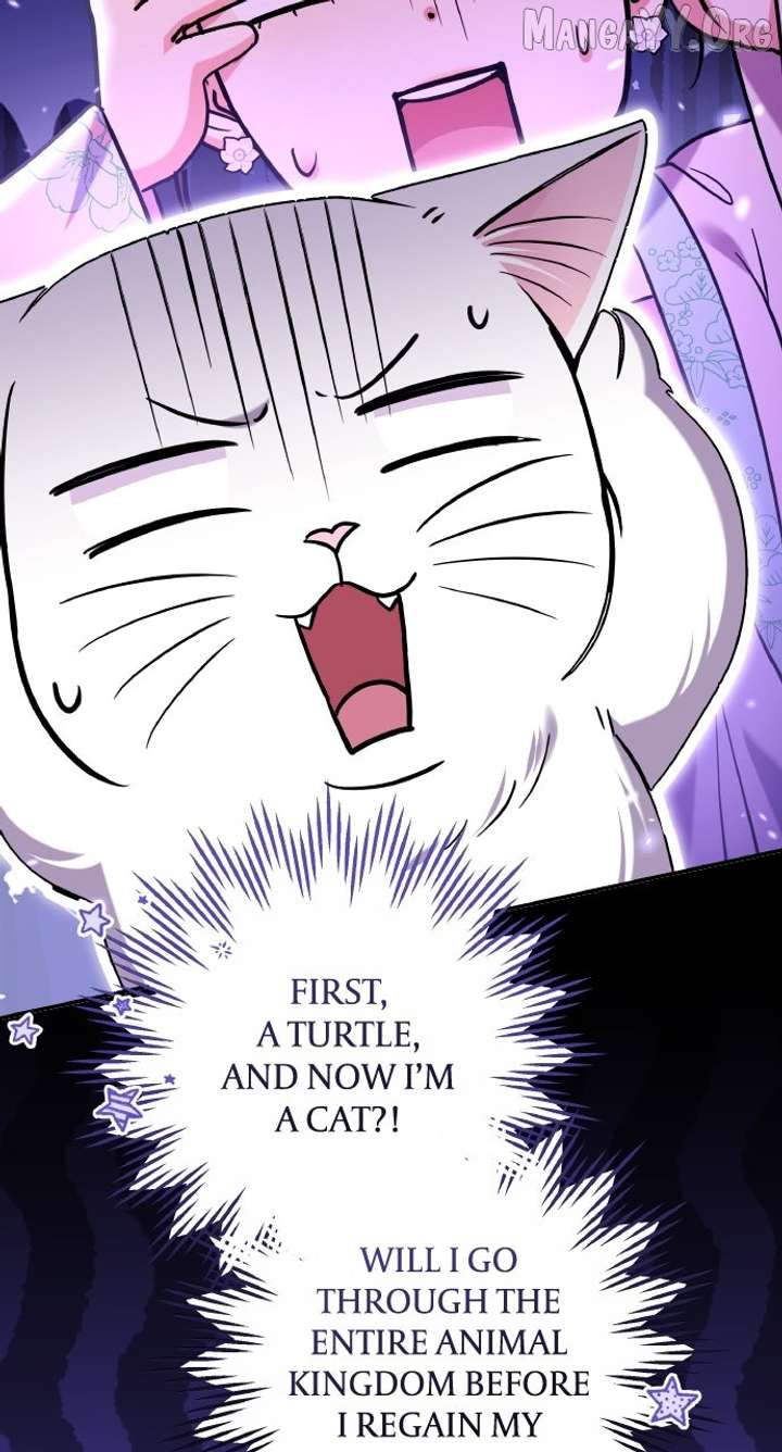 A Master, Who Woke up as a Concubine Chapter 117 426 086