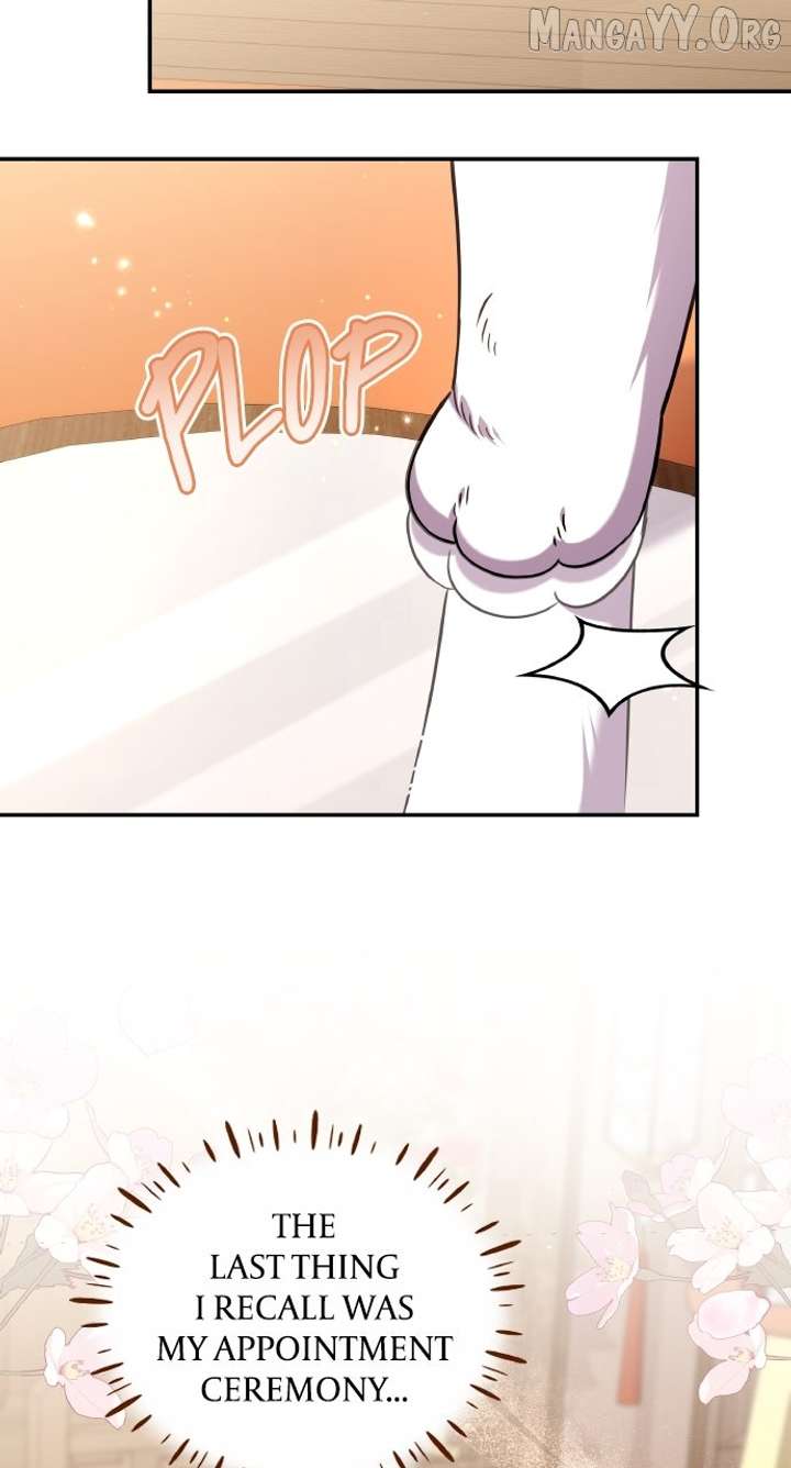 A Master, Who Woke up as a Concubine Chapter 117 428 088