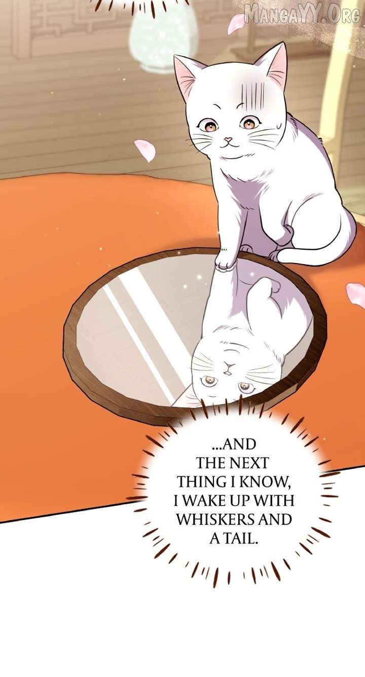 A Master, Who Woke up as a Concubine Chapter 117 429 089