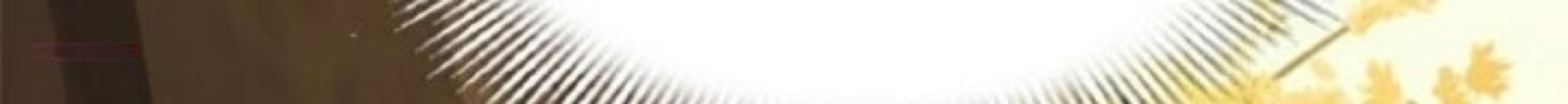 A Night With The Emperor Chapter 44 603 136