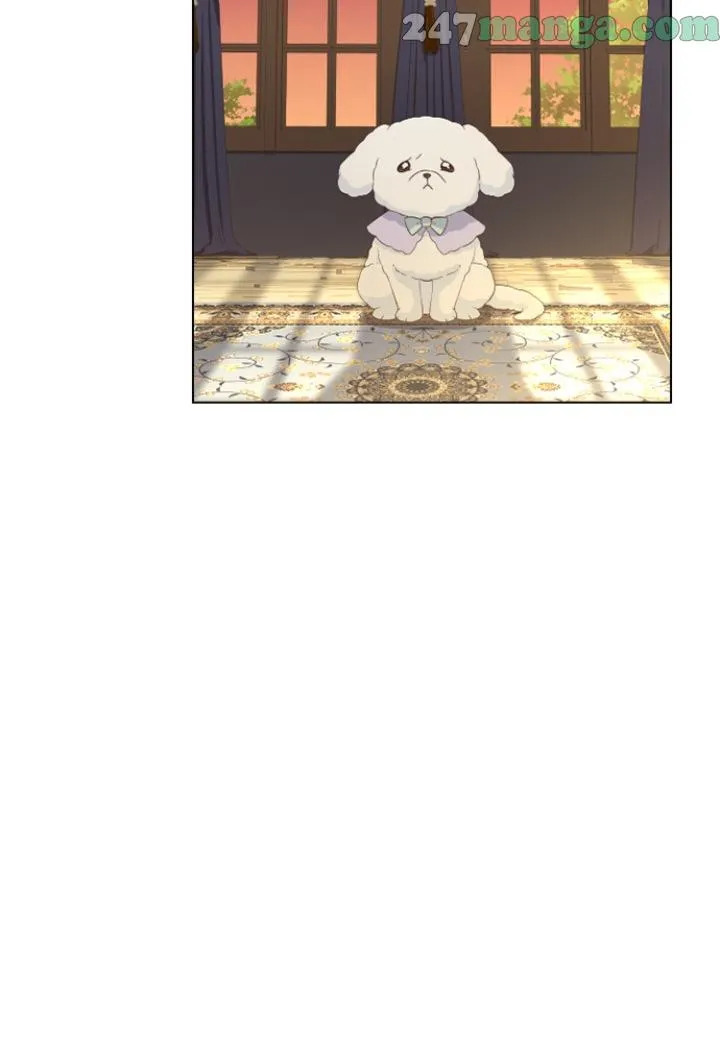 A Night With The Emperor Chapter 48 445 090