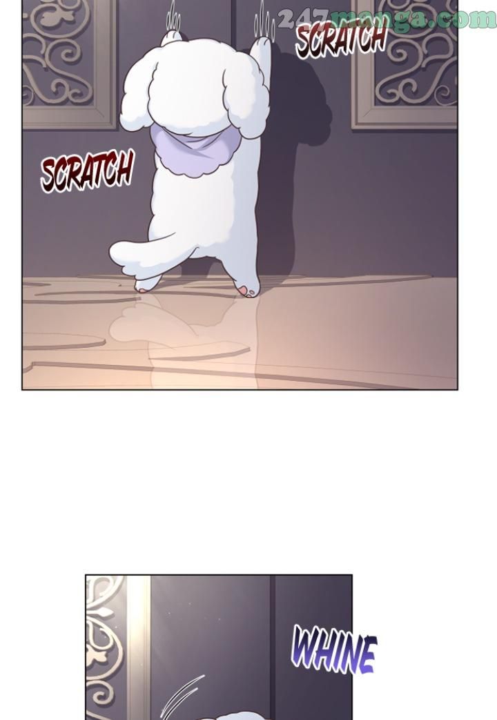 A Night With The Emperor Chapter 49 479 111