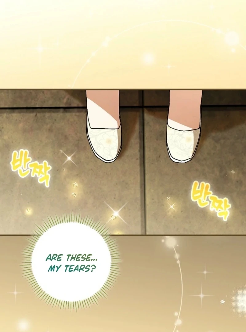 A Perfect Ending Plan of the Villain in a Fairy Tale Chapter 117 474 095