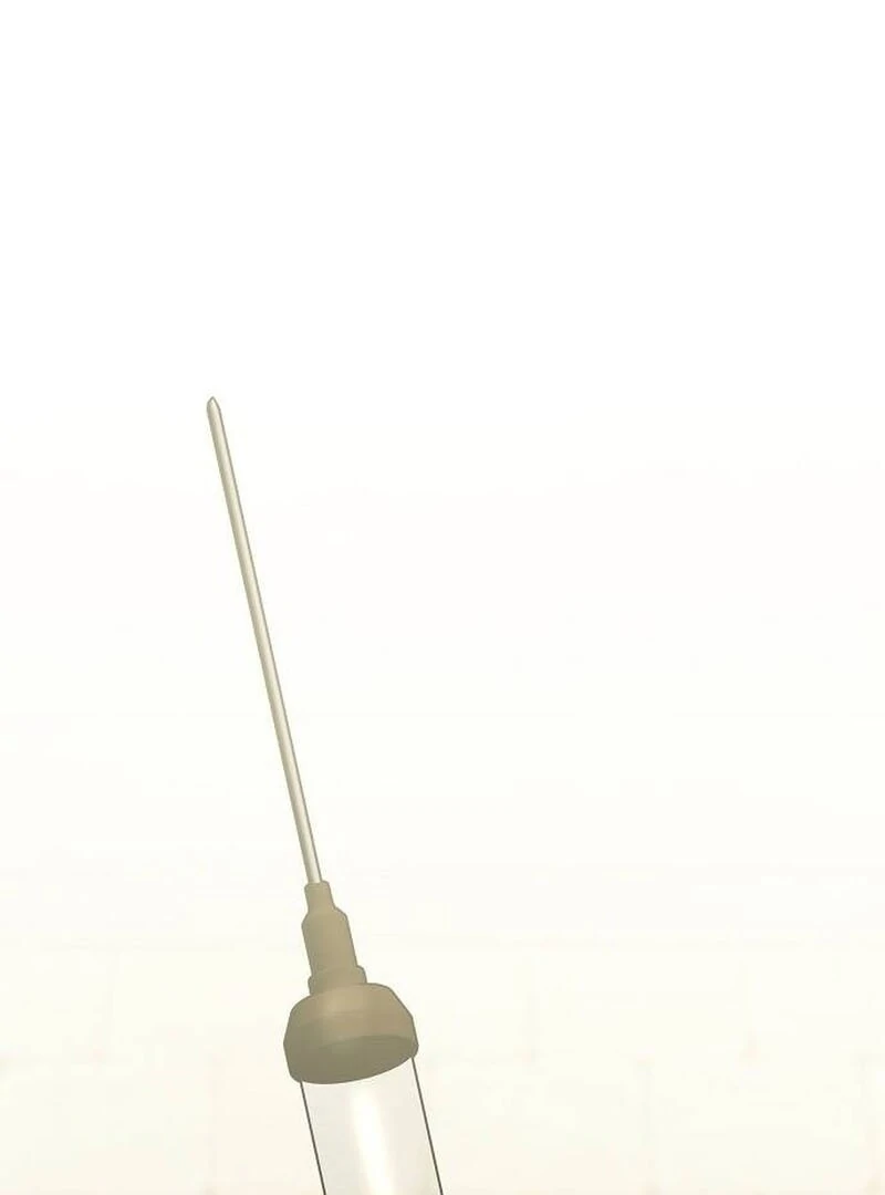 A Revenge Guide for the Terminally Ill Maid Chapter 27 387 002