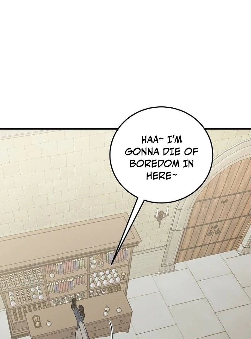 A Revenge Guide for the Terminally Ill Maid Chapter 27 391 006