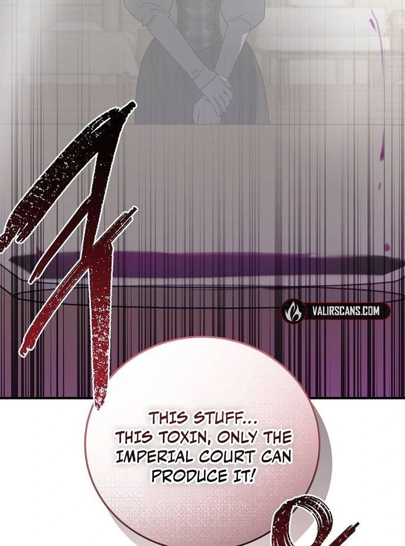 A Revenge Guide for the Terminally Ill Maid Chapter 27 426 041