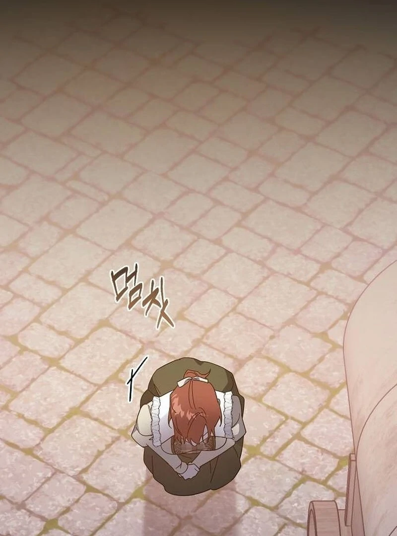 A Revenge Guide for the Terminally Ill Maid Chapter 27 469 084