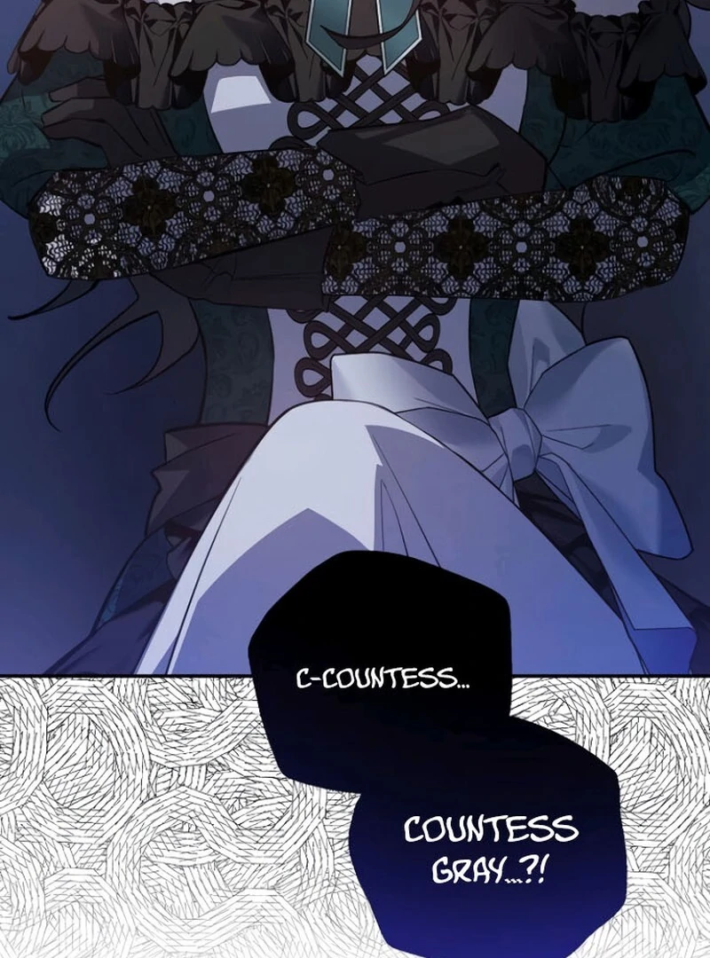 A Revenge Guide for the Terminally Ill Maid Chapter 33 399 017