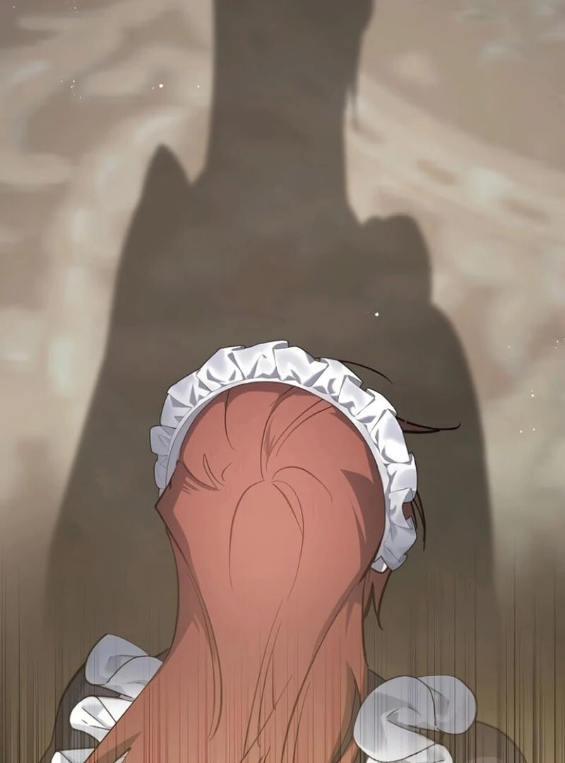 A Revenge Guide for the Terminally Ill Maid Chapter 33 503 121