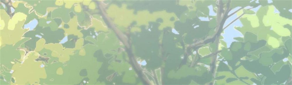 A Second Chance at Love Chapter 18 530 025