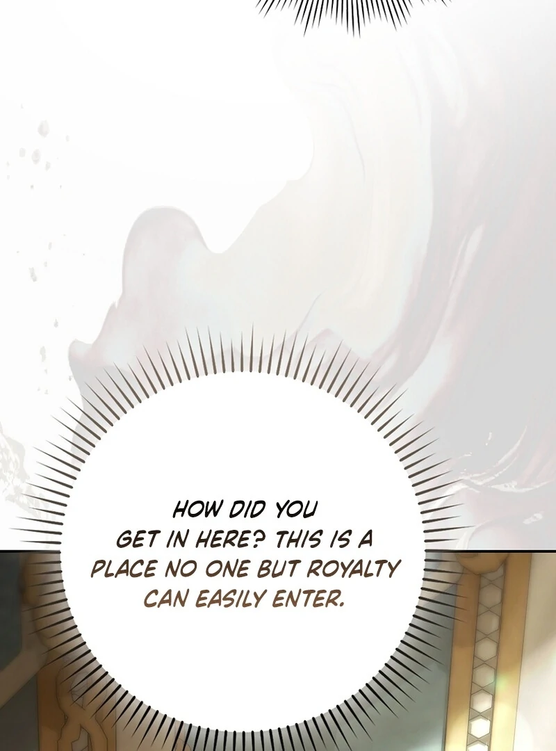 A Sham Marriage with Unexpected Benefits Chapter 22 486 098