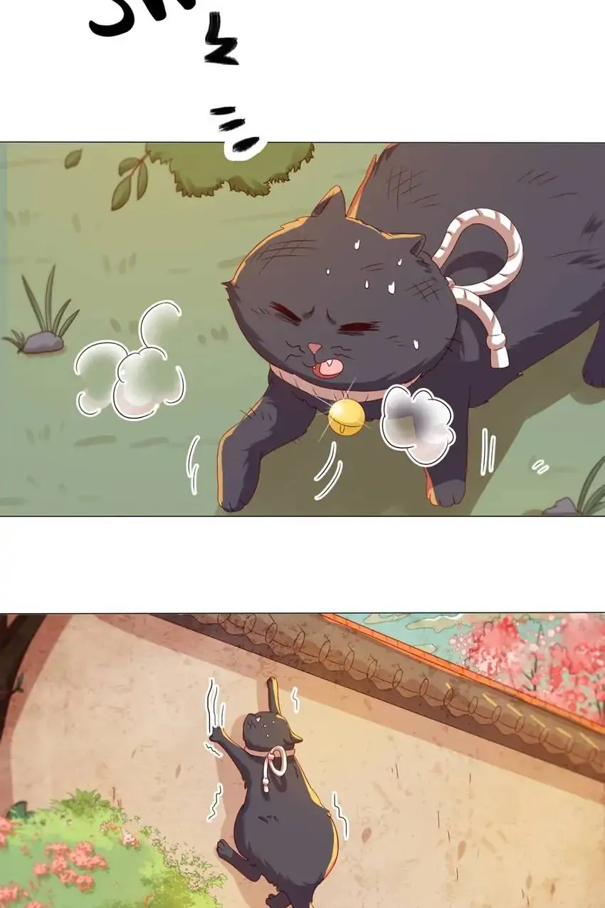 A Song Dwelling In The Clouds: Love Inside The Cage Chapter 41 137 028