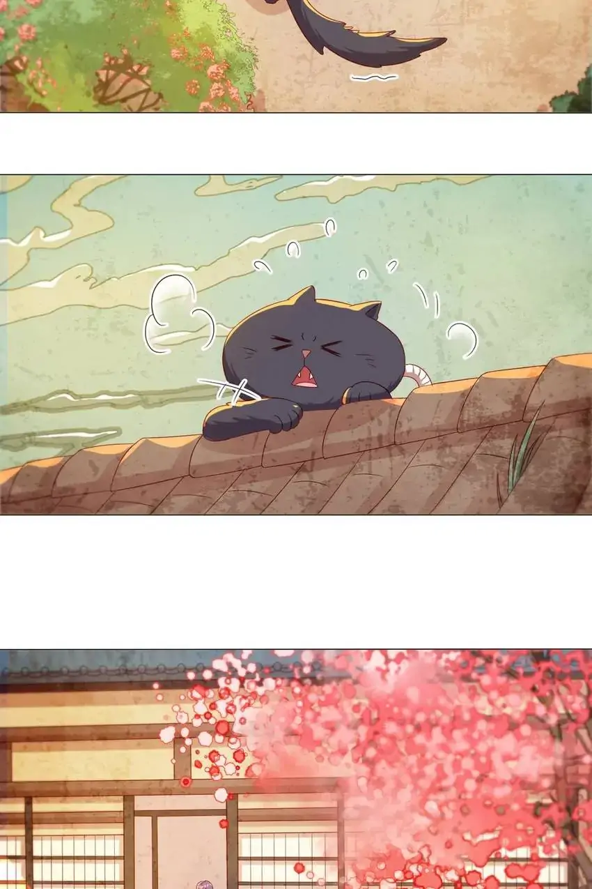 A Song Dwelling In The Clouds: Love Inside The Cage Chapter 41 138 029