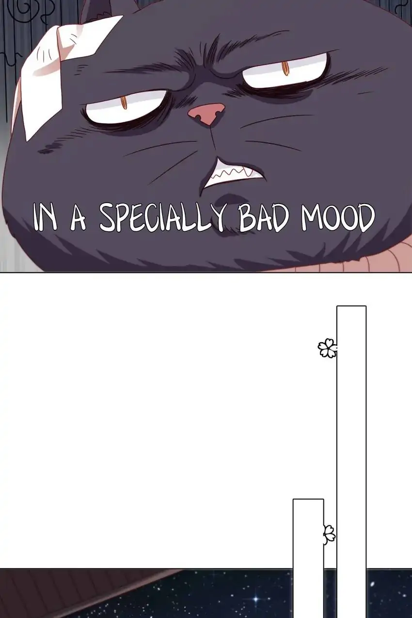 A Song Dwelling In The Clouds: Love Inside The Cage Chapter 42 147 023