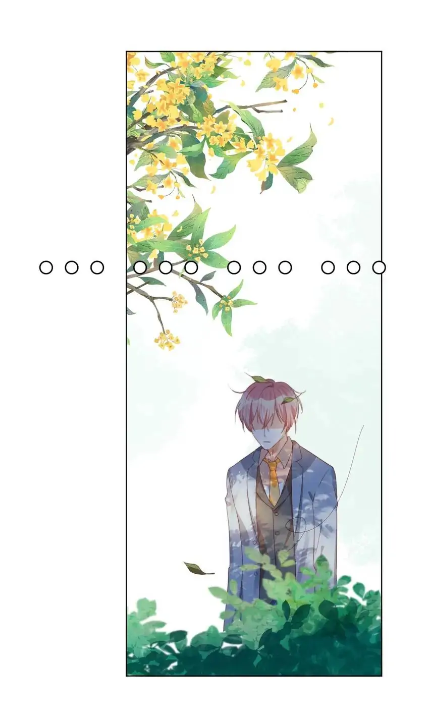 A Song Dwelling In The Clouds: Love Inside The Cage Chapter 73 62 007