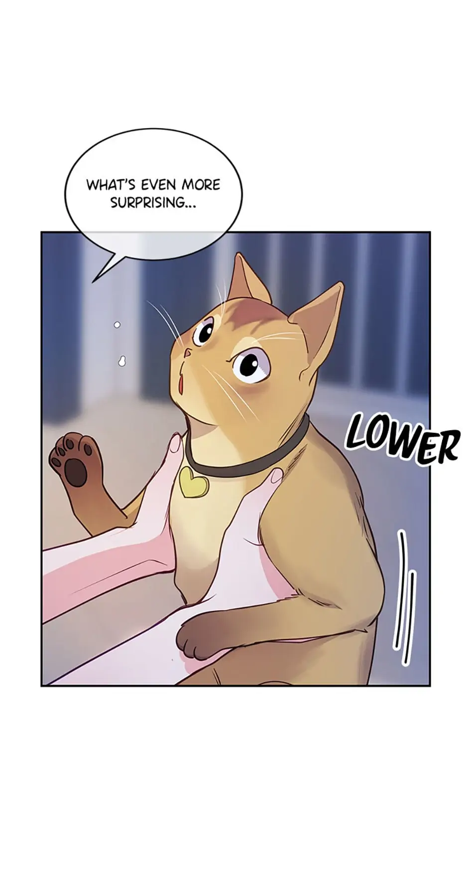 A Suspicious Confession Chapter 23 262 36