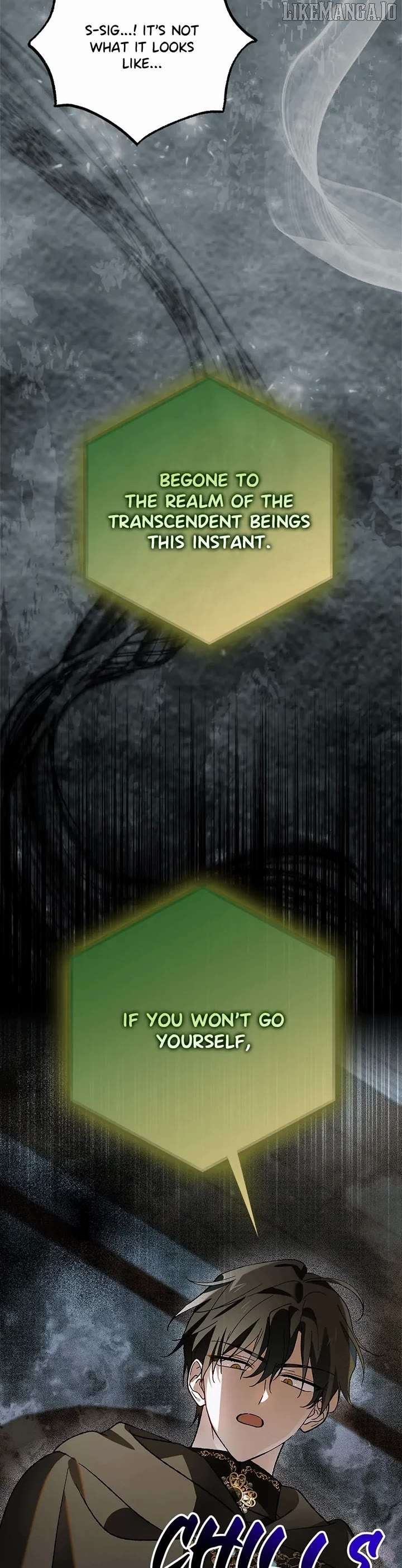 A Way to Protect the Lovable You Chapter 163 206 49