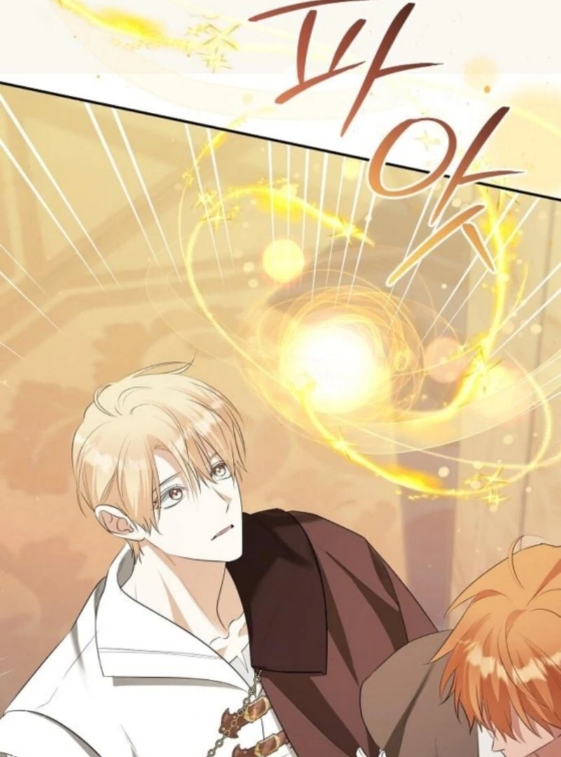 Adopted by a Murderous Duke Family Chapter 88 464 070