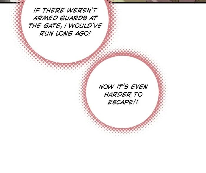 After Becoming a Dumpling, the Villain Family All Wants to Kill Me! Chapter 3 249 29