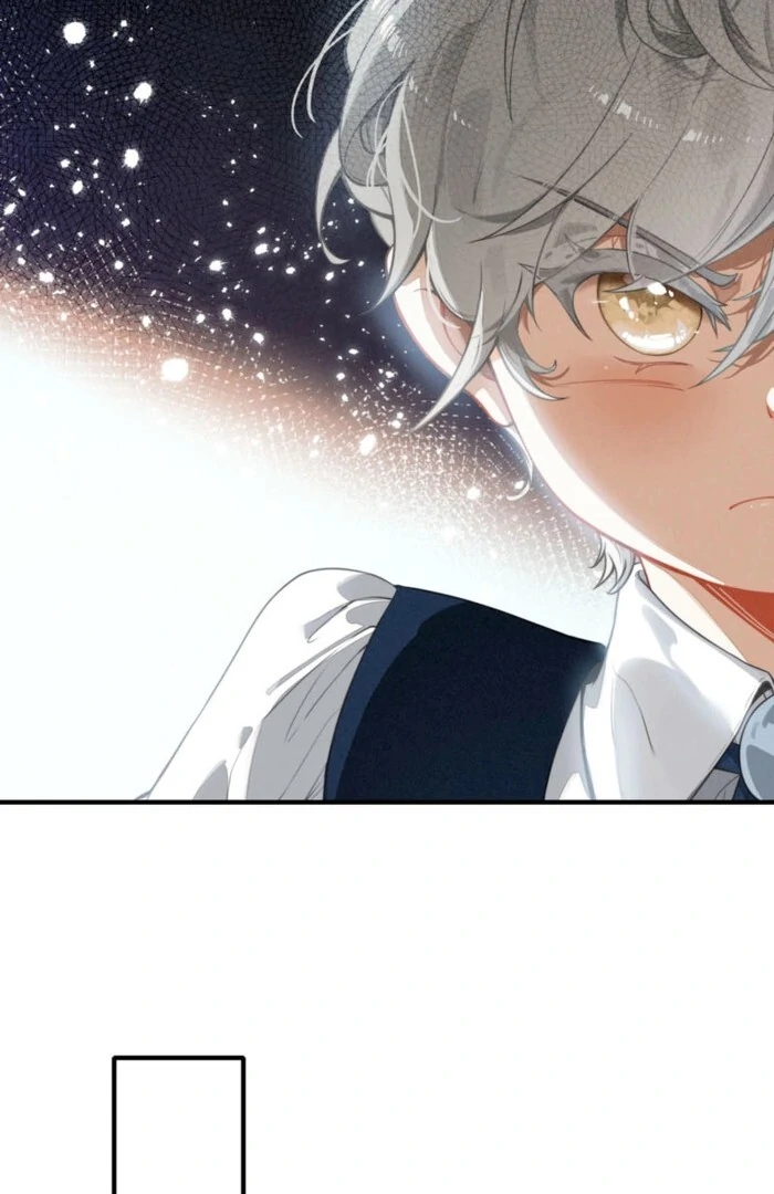 After Becoming a Dumpling, the Villain Family All Wants to Kill Me! Chapter 3 273 53