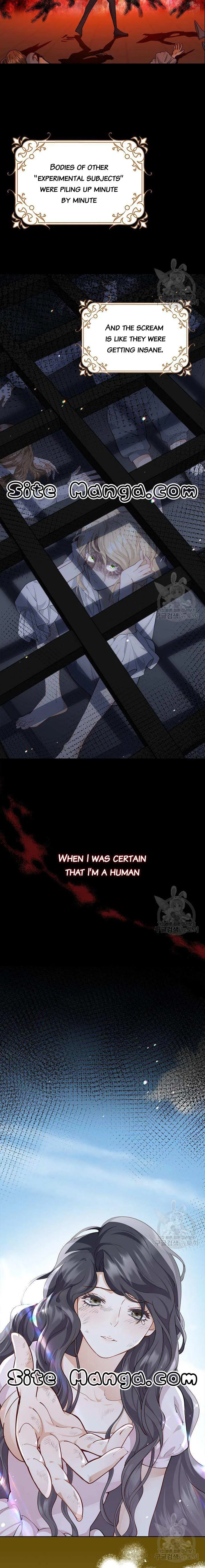 After the Frozen Heart Melts Chapter 13 86 19