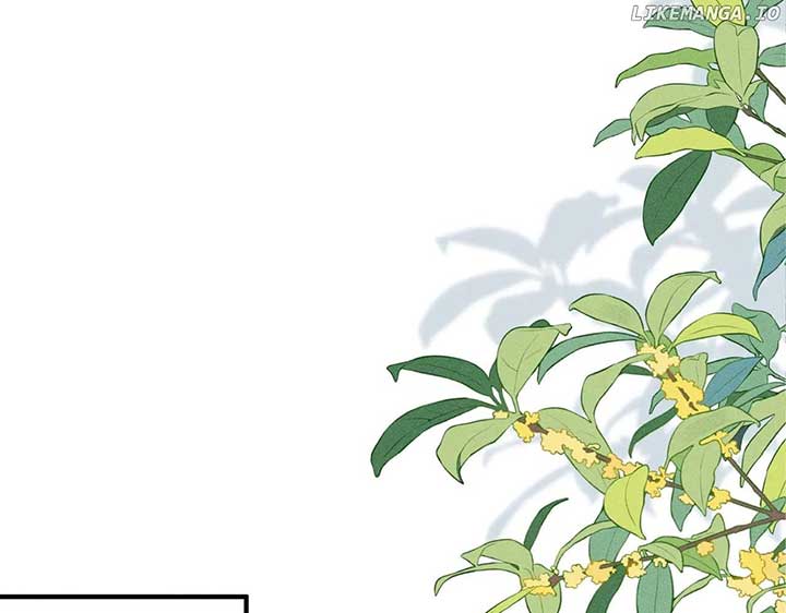 Almighty Boss, Beautiful and Dashing Chapter 36 336 014