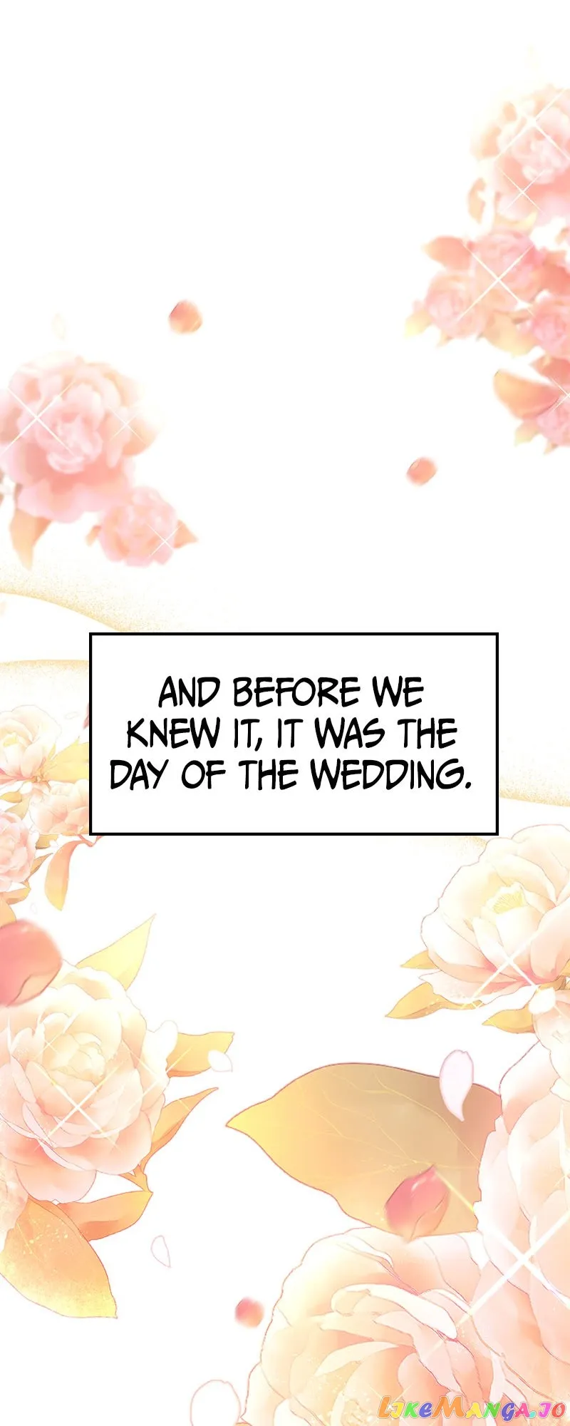 Amelia’s Contract Marriage Chapter 20 296 70