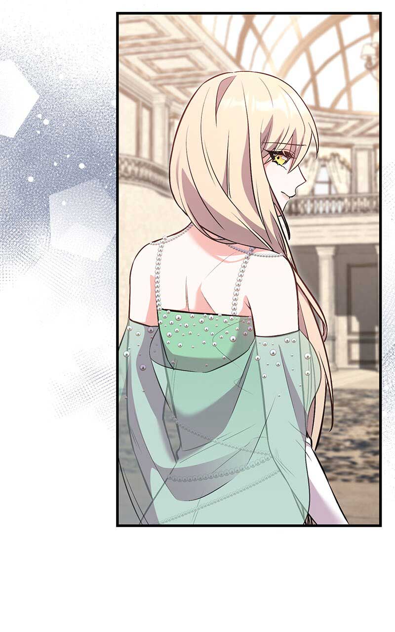 Amelia’s Contract Marriage Chapter 45 243 50