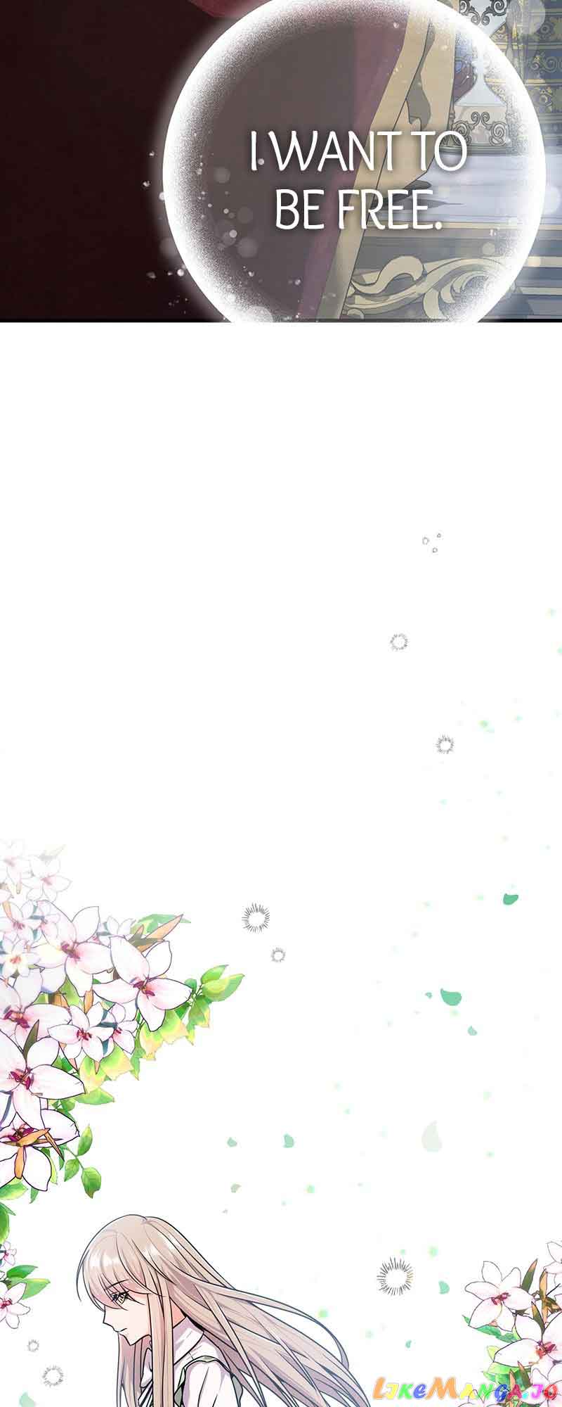 Amelia’s Contract Marriage Chapter 5 316 15