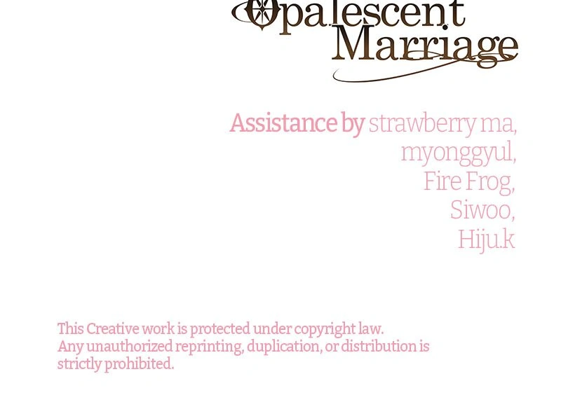 Amelia’s Contract Marriage Chapter 51 347 85