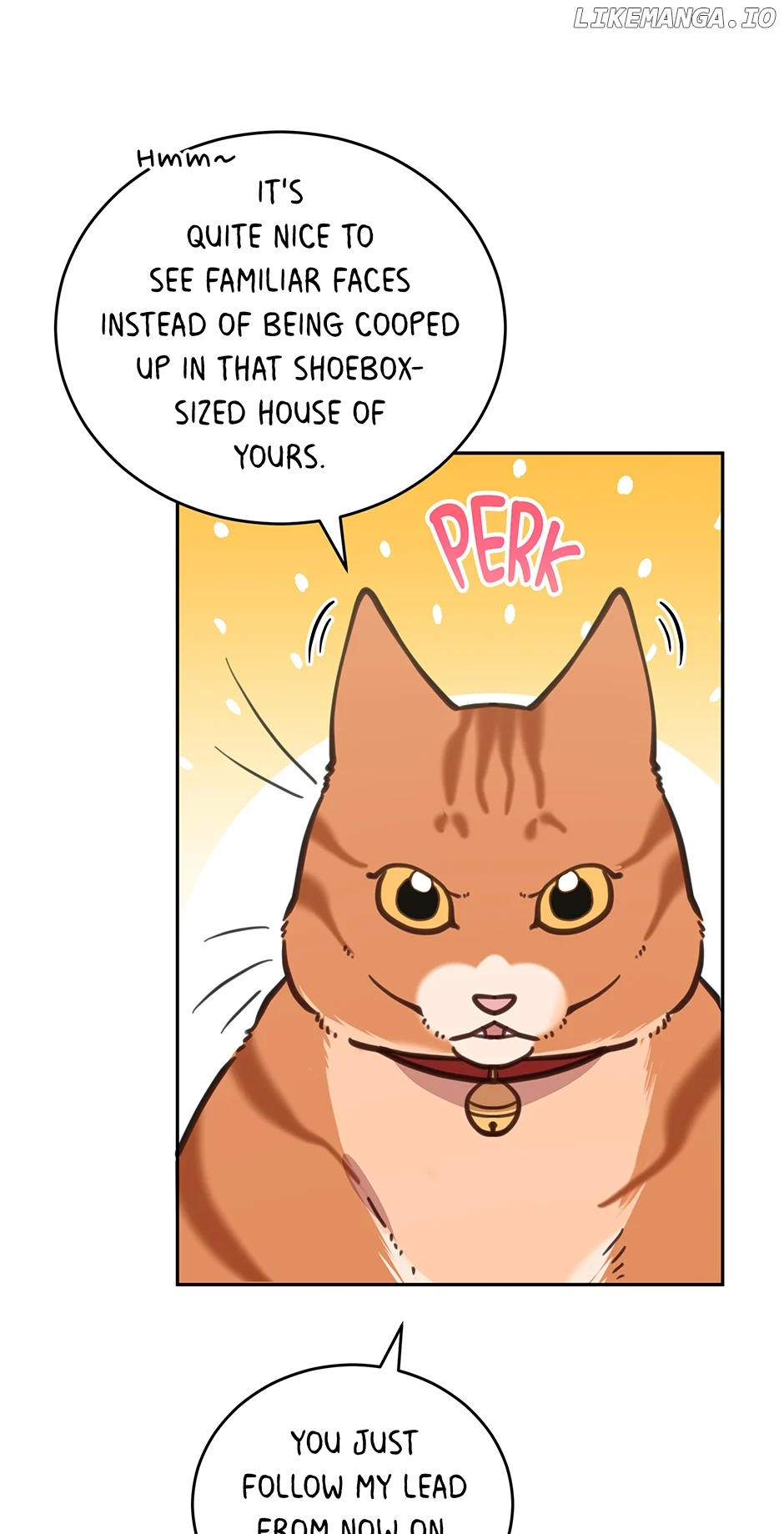 An animal hospital in the border area Chapter 107 260 10