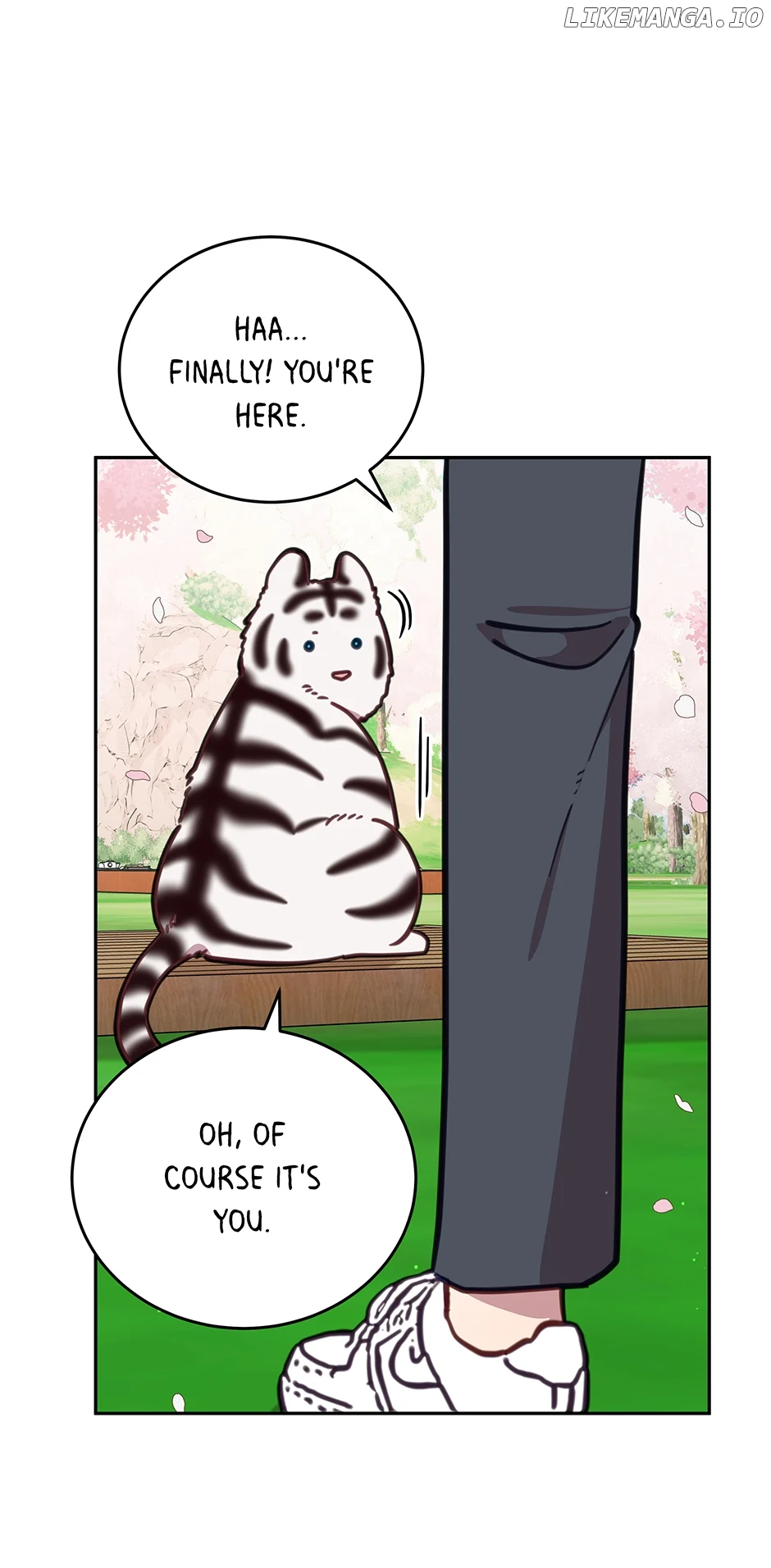 An animal hospital in the border area Chapter 107 321 71