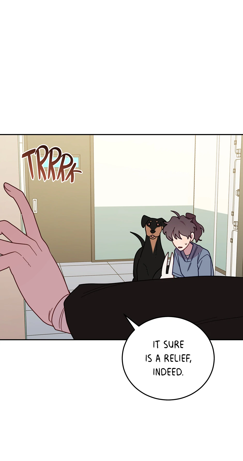 An animal hospital in the border area Chapter 146 282 ch 146 65