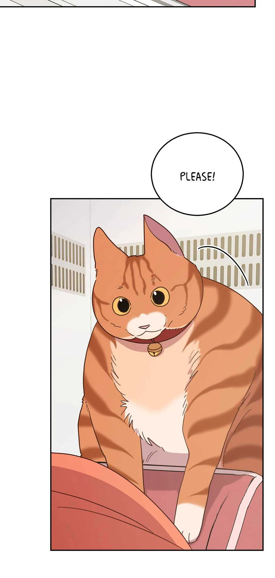 An animal hospital in the border area Chapter 146 224 ch 146 7