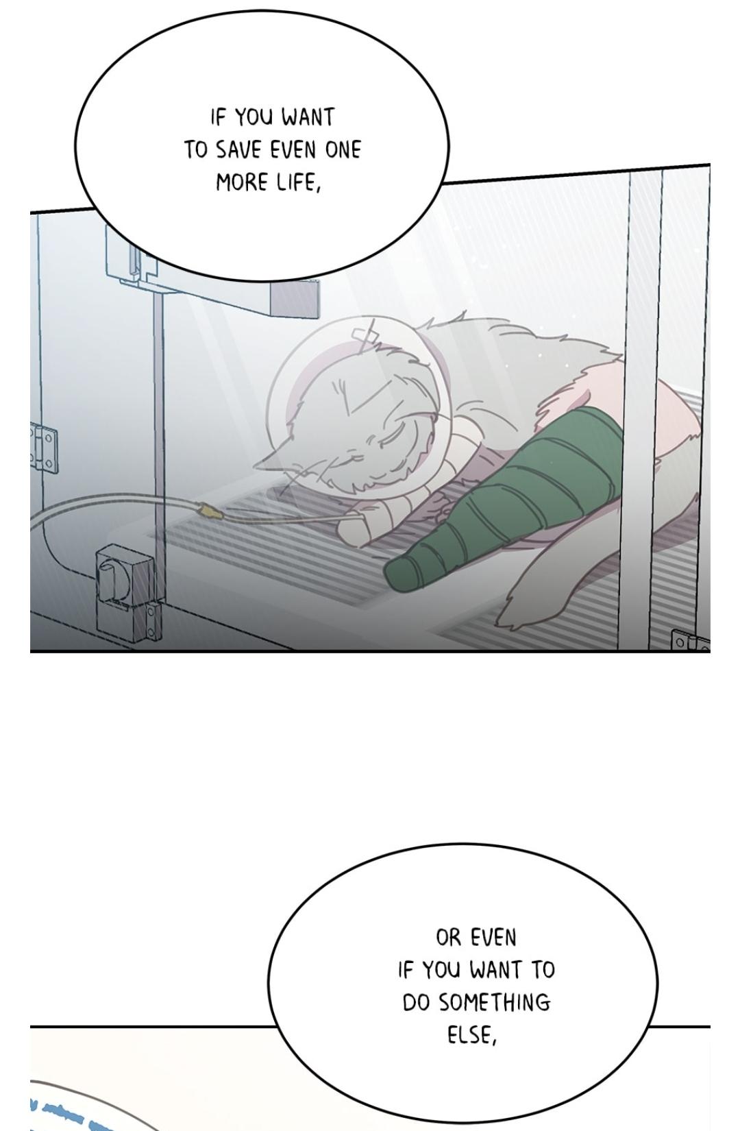 An animal hospital in the border area Chapter 15 223 024